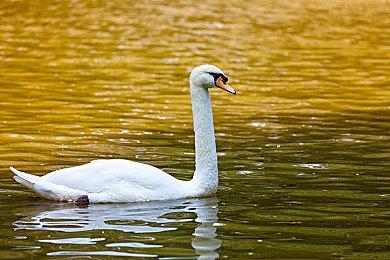 《赵云传：云汉腾龙》官宣延期 1月中下旬发售